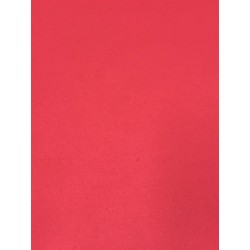 MICROPOROSO EVADUR LISO COLORES  5MM 54X90