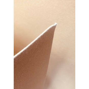 PLANCHA PARA PLANTAS PLANTEX FIELTRO 2MM