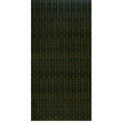 PLANCHA VK GOLDEN GERMANY 30*50