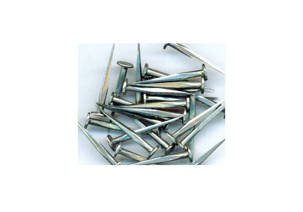 CHINCHES CATURLA (KGRS)