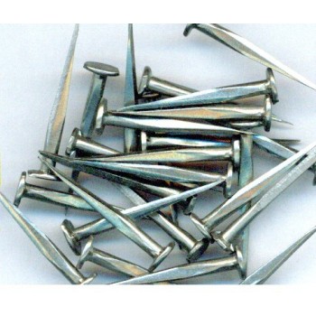 CHINCHES CATURLA (KGRS)