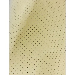 PLANCHA EVA PERFORADO 3.0MM 224*108