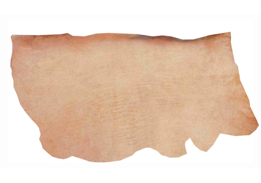 PIEL CUELLO PALMILLA 2MM. (PIES)