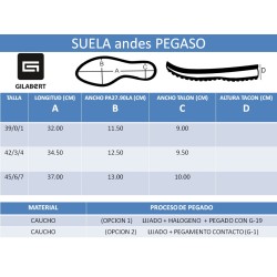 PISO ANDES PEGASO TRAIL (PAR)